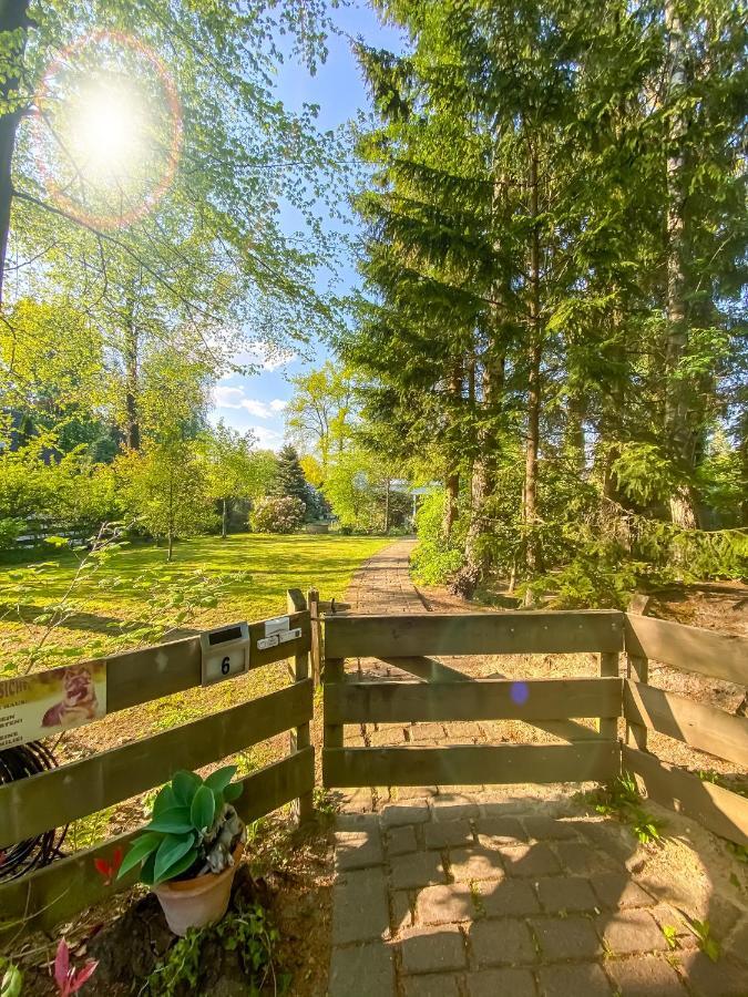 Ferienwohnung Im Sachsenwald Dassendorf 外观 照片
